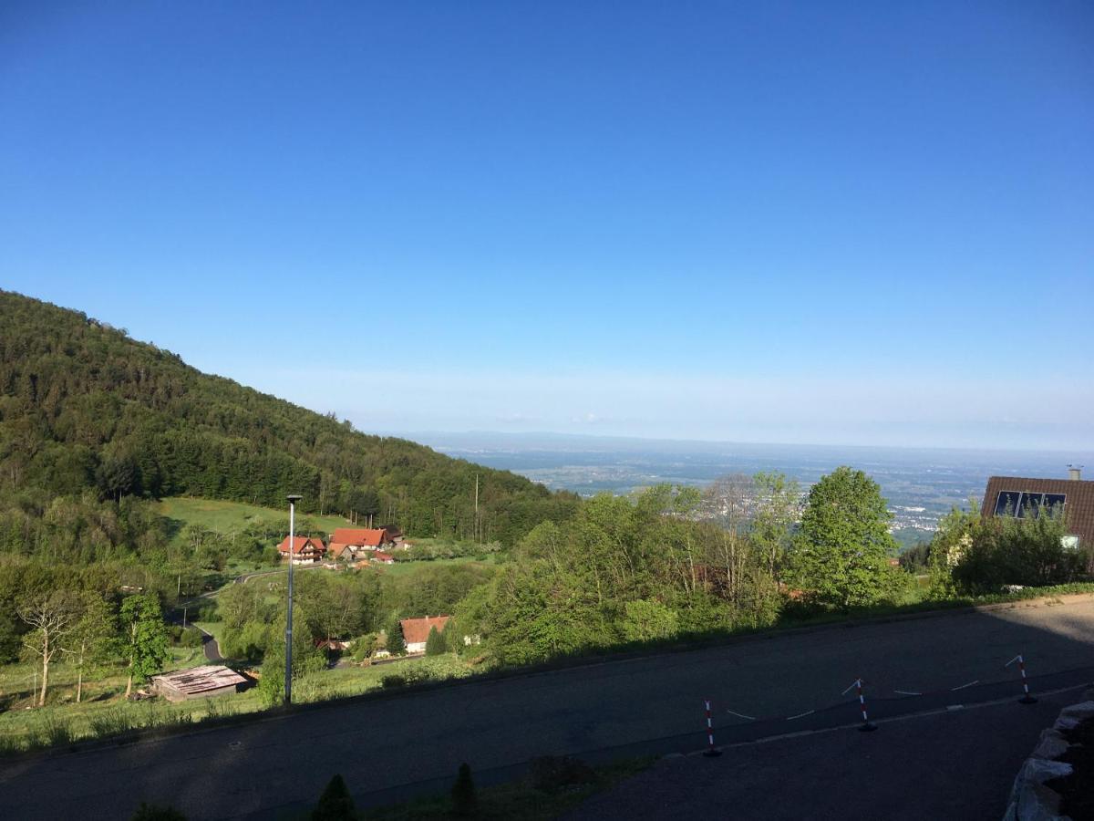 Apartment Ferienwohnung Brandmatt - Weitblick - 54Qm Sasbachwalden Kültér fotó
