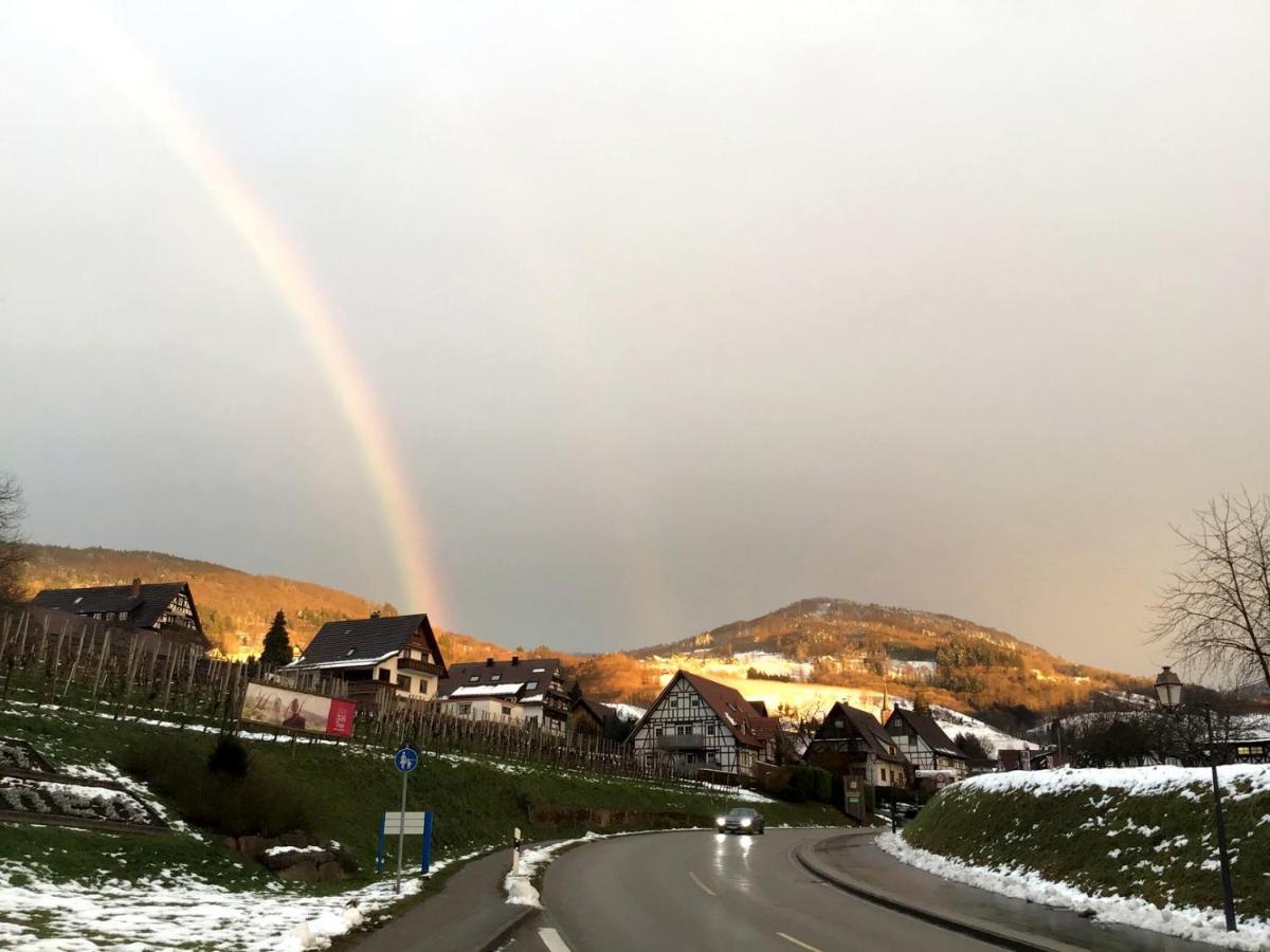 Apartment Ferienwohnung Brandmatt - Weitblick - 54Qm Sasbachwalden Kültér fotó